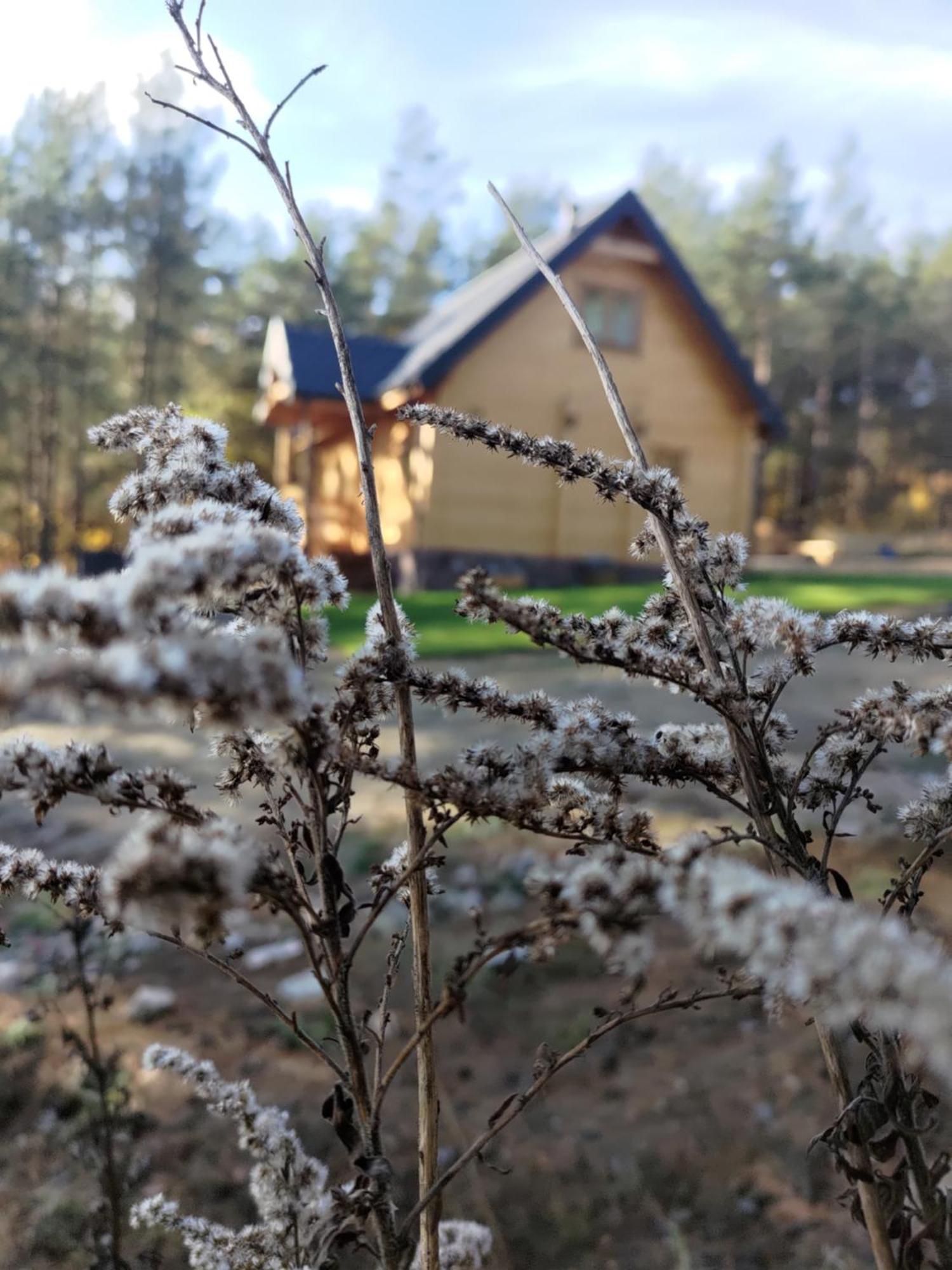 Mazurska Bania U Pana Szeptuna - Drewniany Dom Na Skraju Lasu Lidzbark Welski Zewnętrze zdjęcie